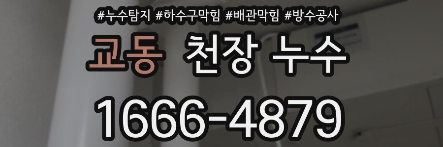 교동 천장 누수