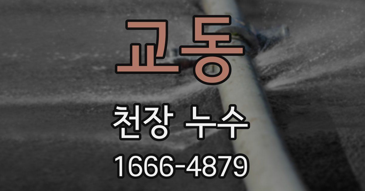 교동 천장 누수