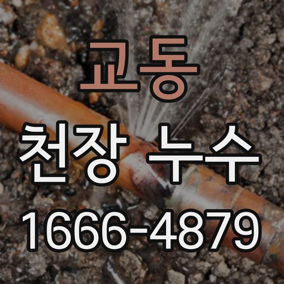 교동 천장 누수