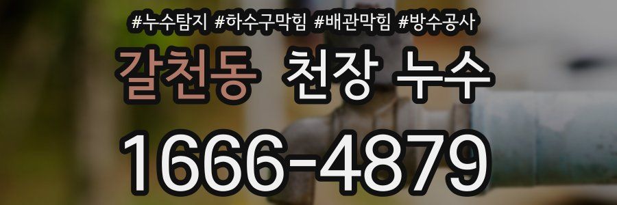 갈천동 천장 누수