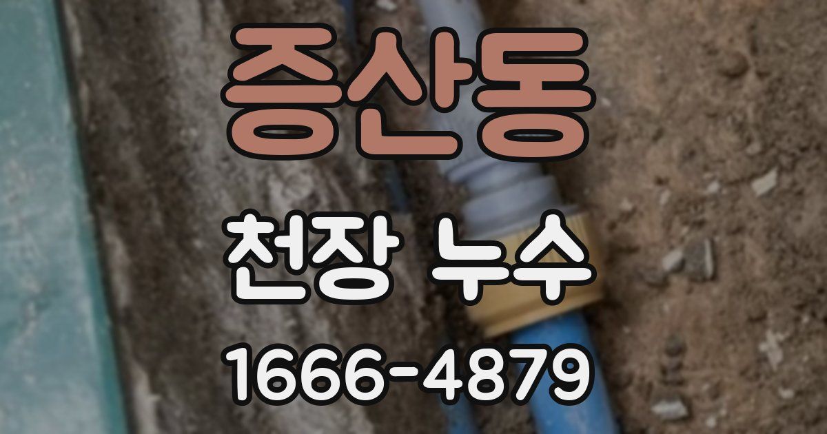 증산동 천장 누수