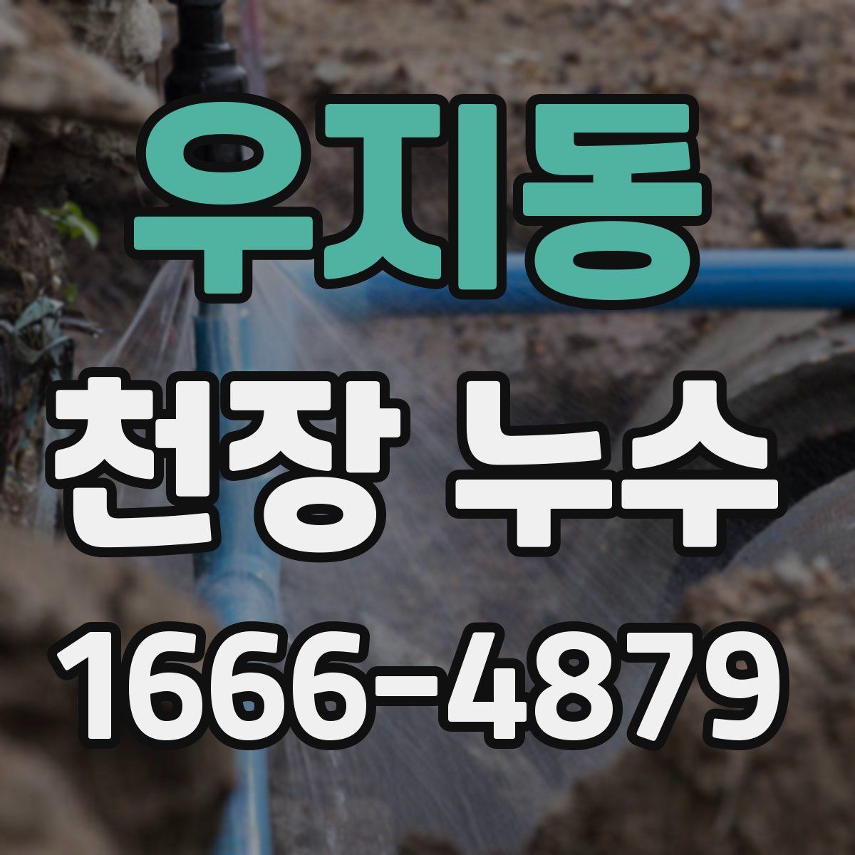 우지동 천장 누수