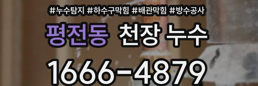 평전동 천장 누수