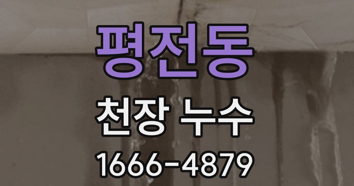 평전동 천장 누수