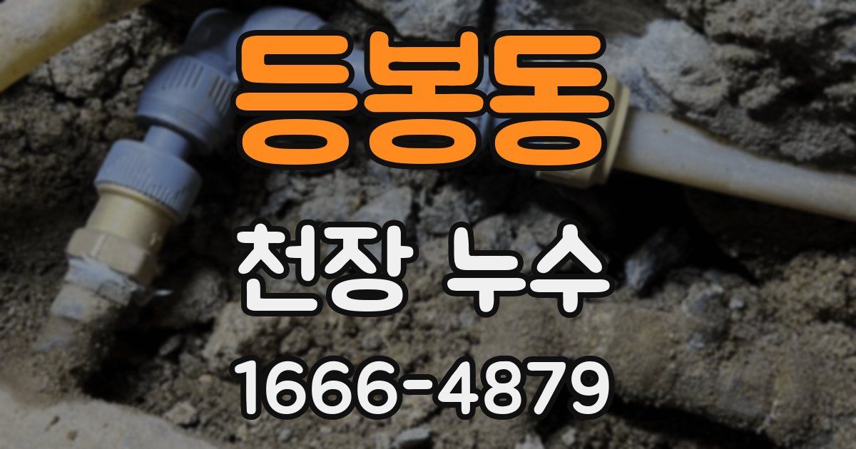 등봉동 천장 누수