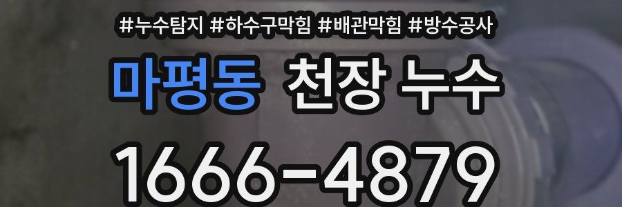 마평동 천장 누수
