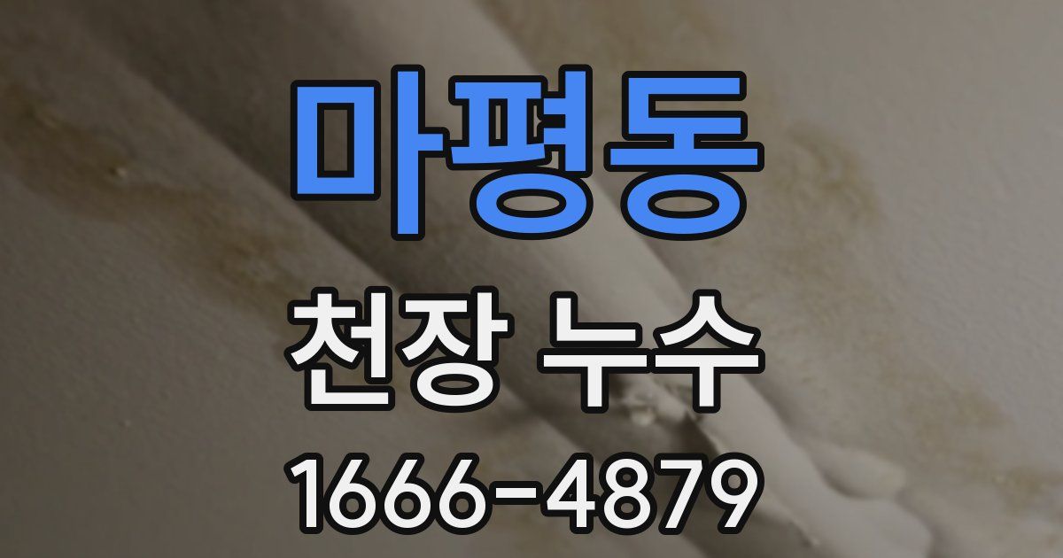 마평동 천장 누수