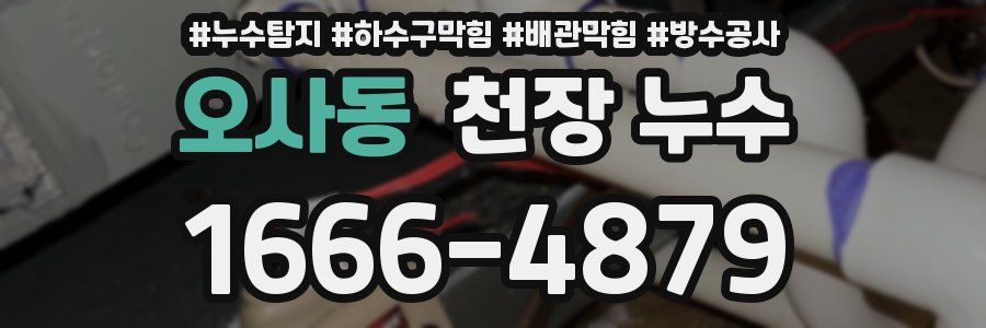 오사동 천장 누수