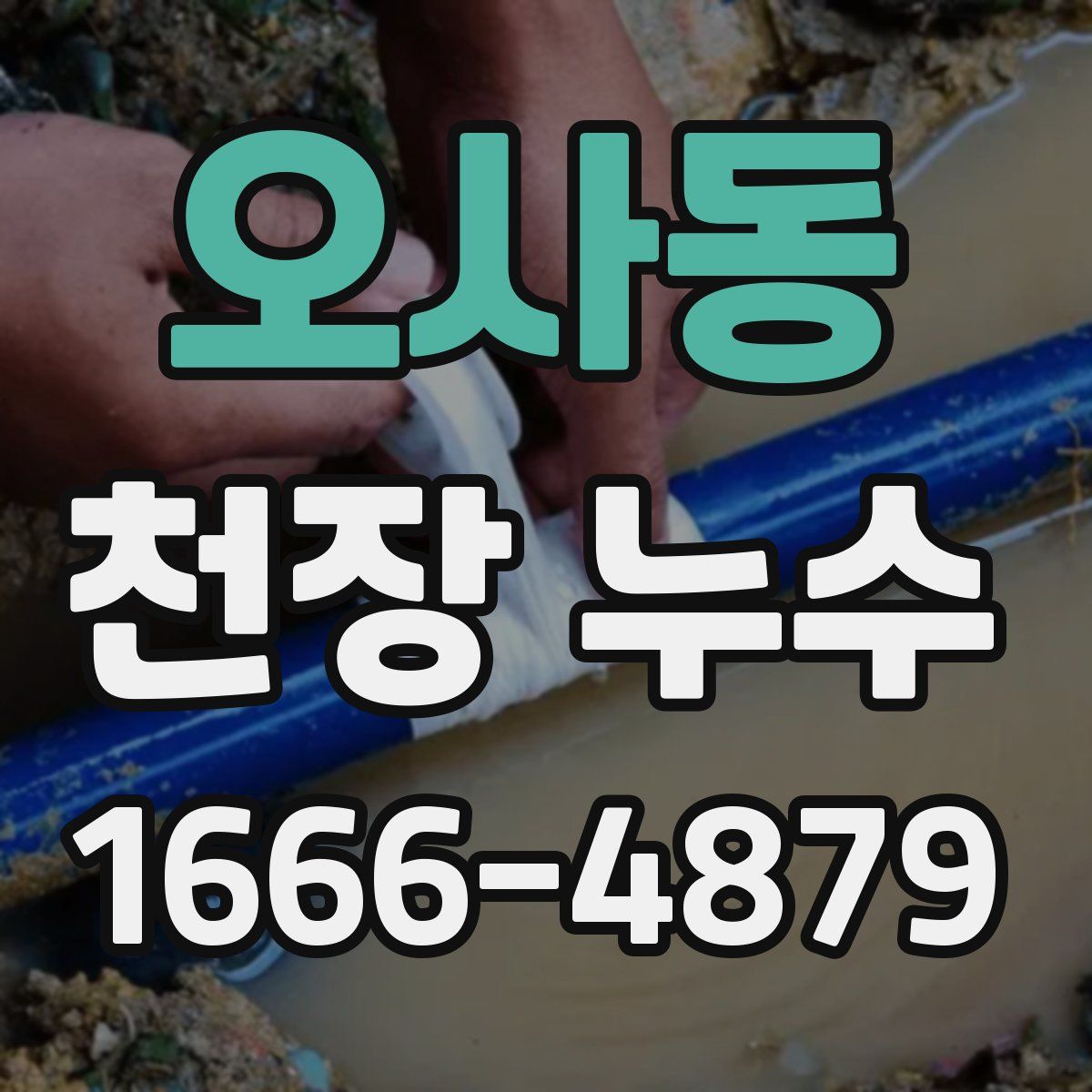 오사동 천장 누수