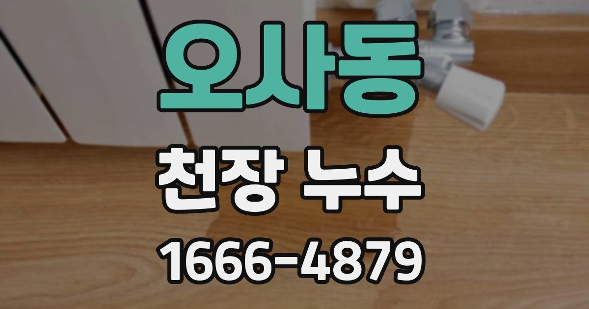 오사동 천장 누수