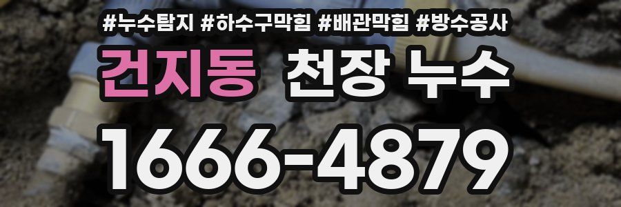 건지동 천장 누수