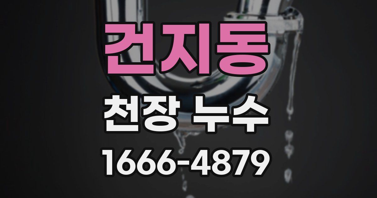 건지동 천장 누수