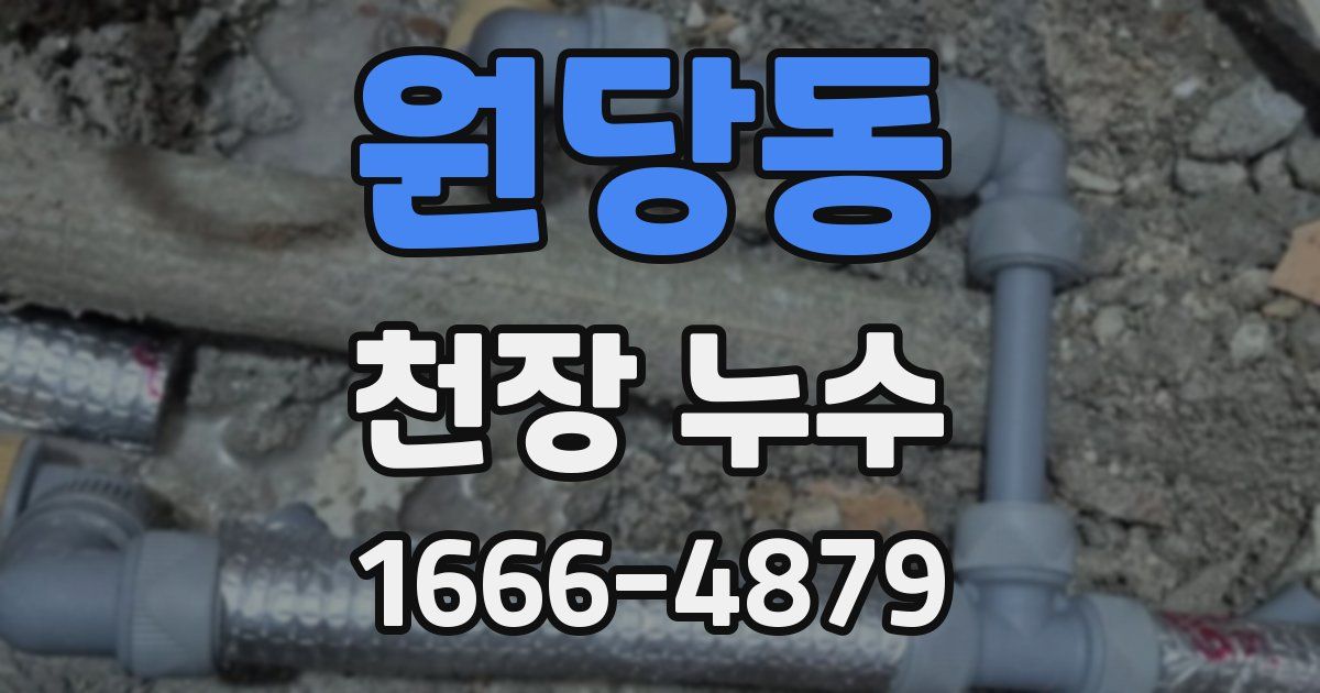 원당동 천장 누수