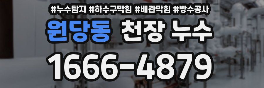 원당동 천장 누수