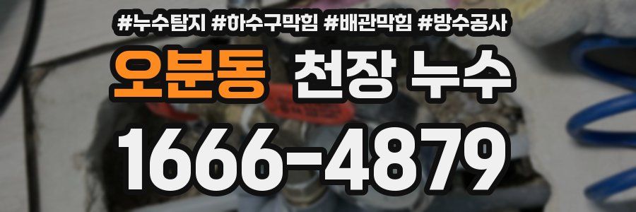 오분동 천장 누수