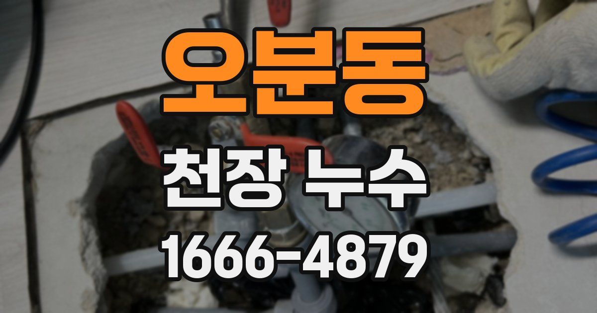 오분동 천장 누수