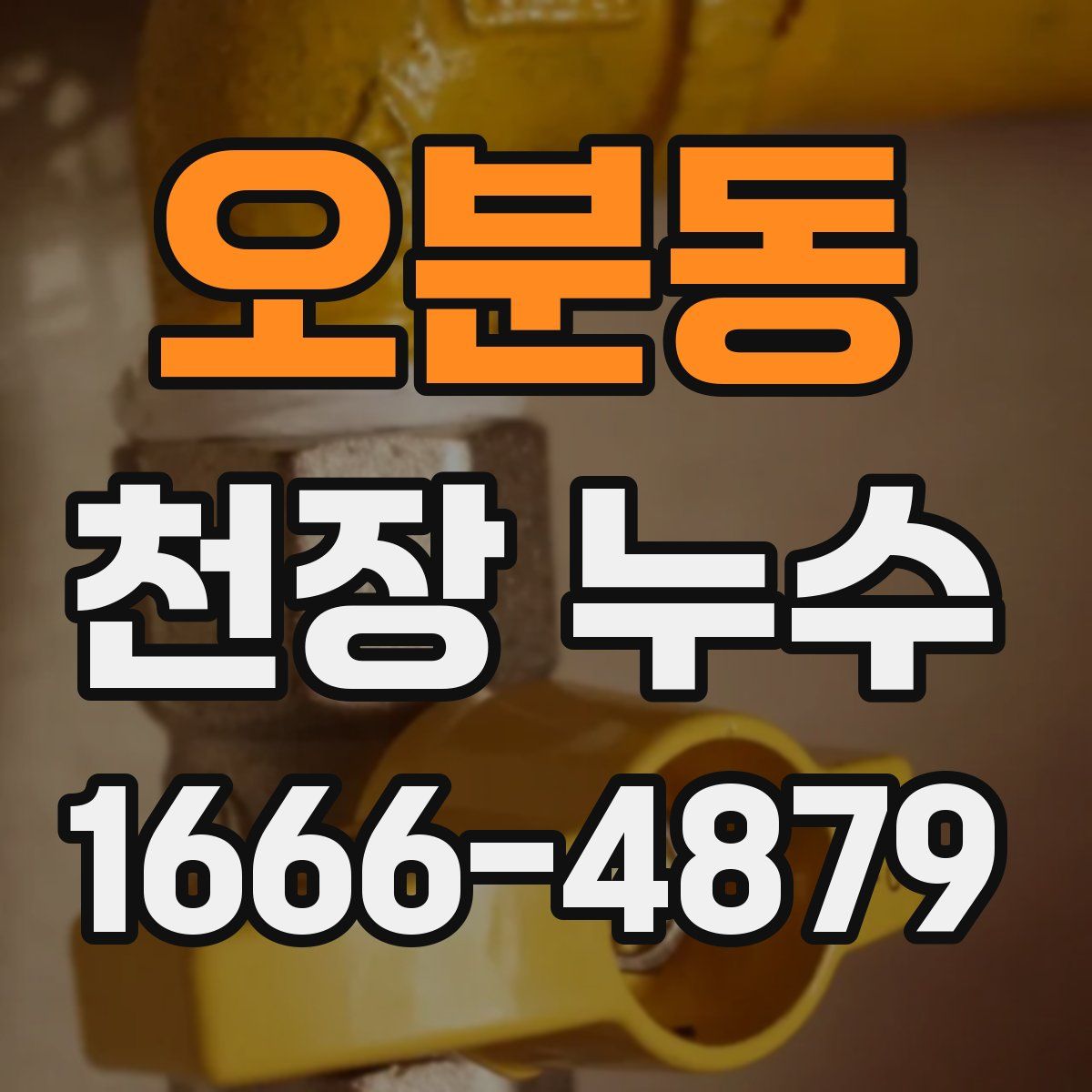 오분동 천장 누수