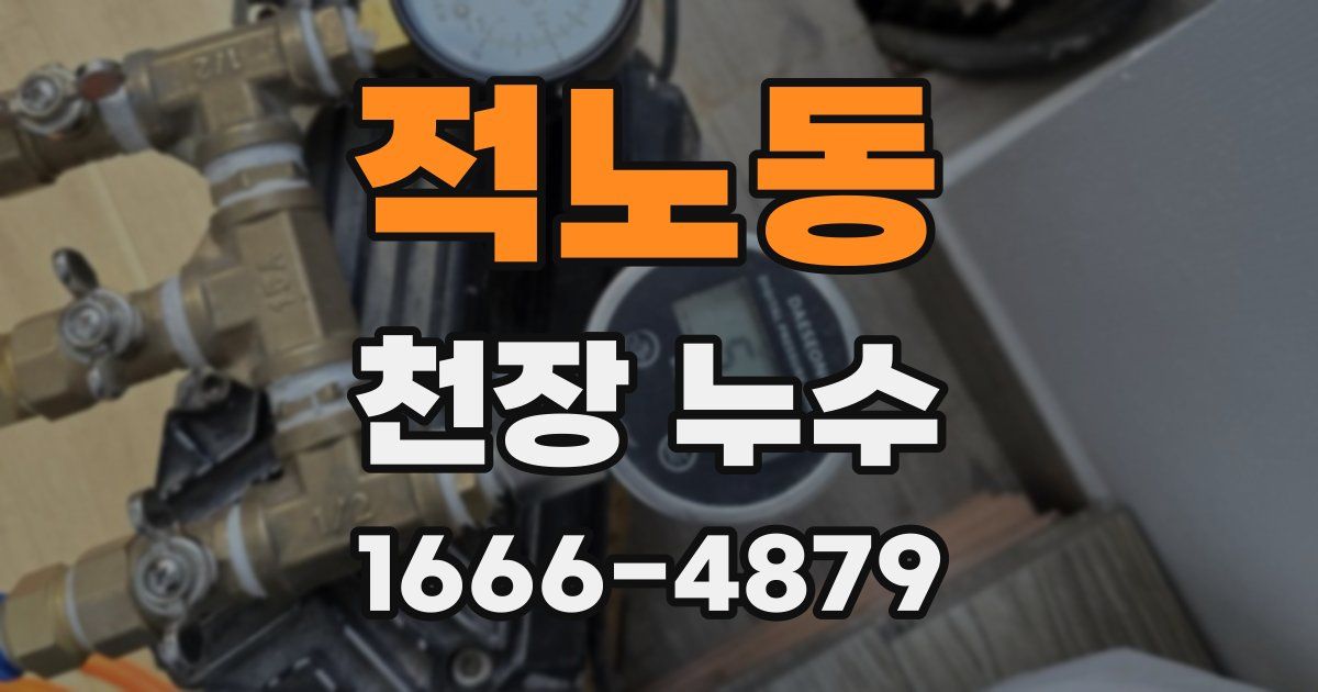 적노동 천장 누수