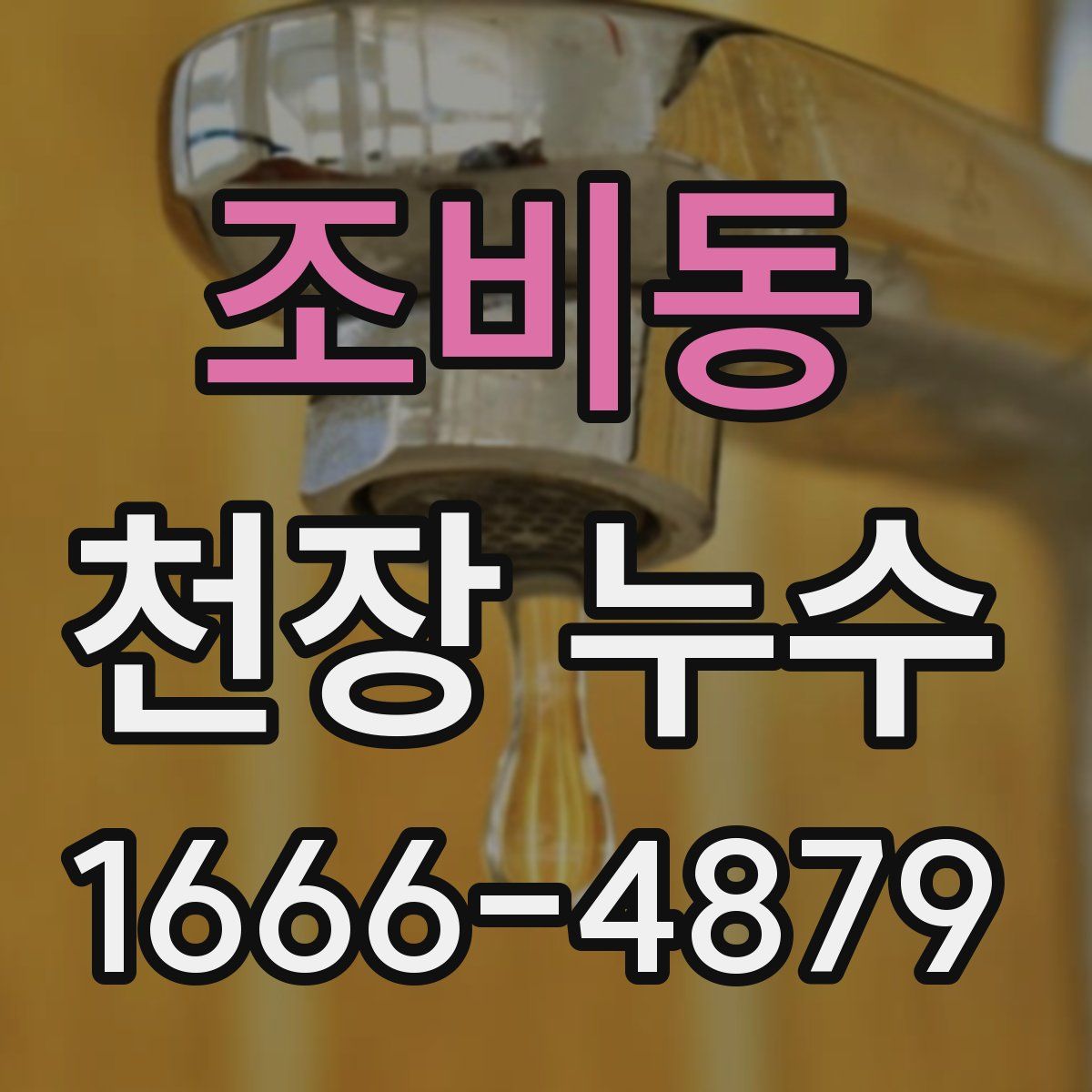 조비동 천장 누수