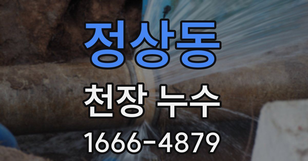 정상동 천장 누수