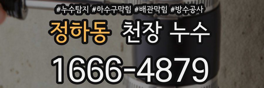 정하동 천장 누수
