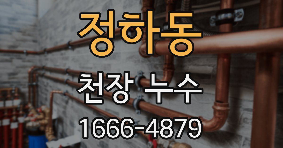 정하동 천장 누수