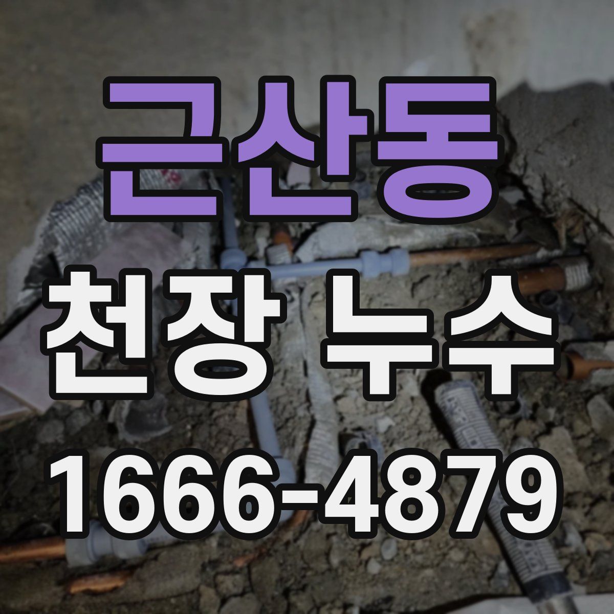 근산동 천장 누수