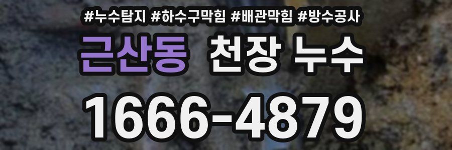 근산동 천장 누수