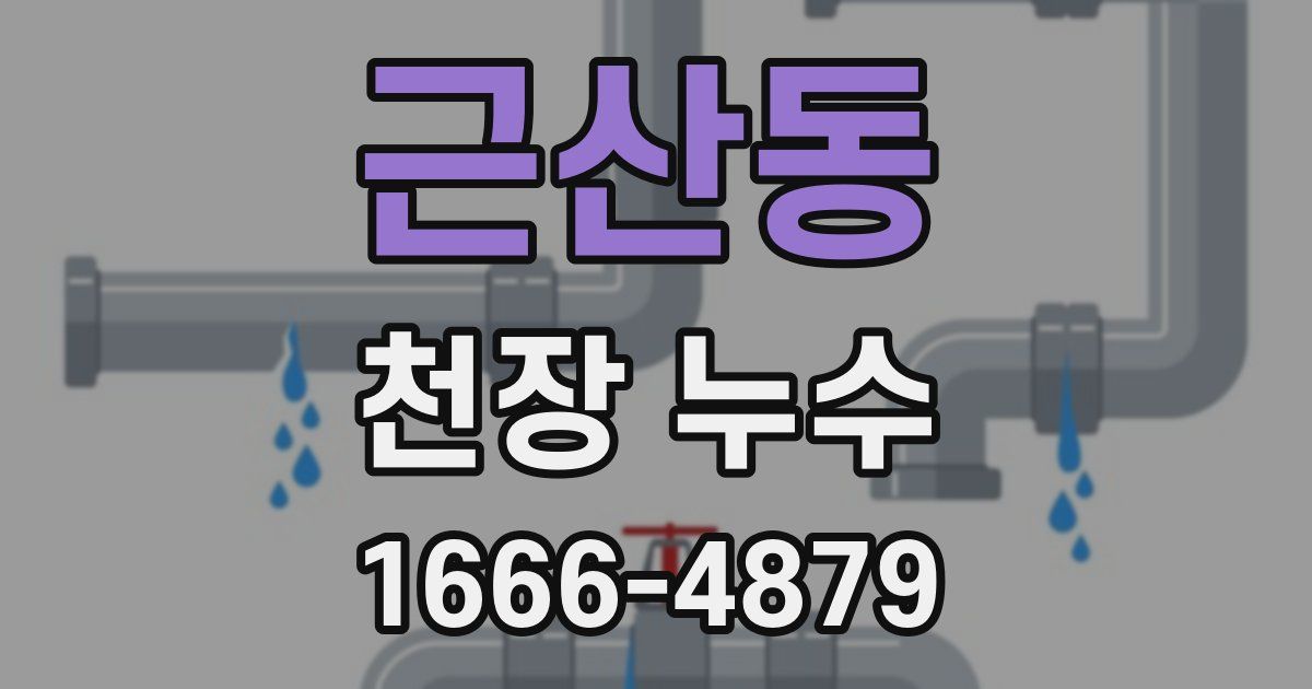 근산동 천장 누수