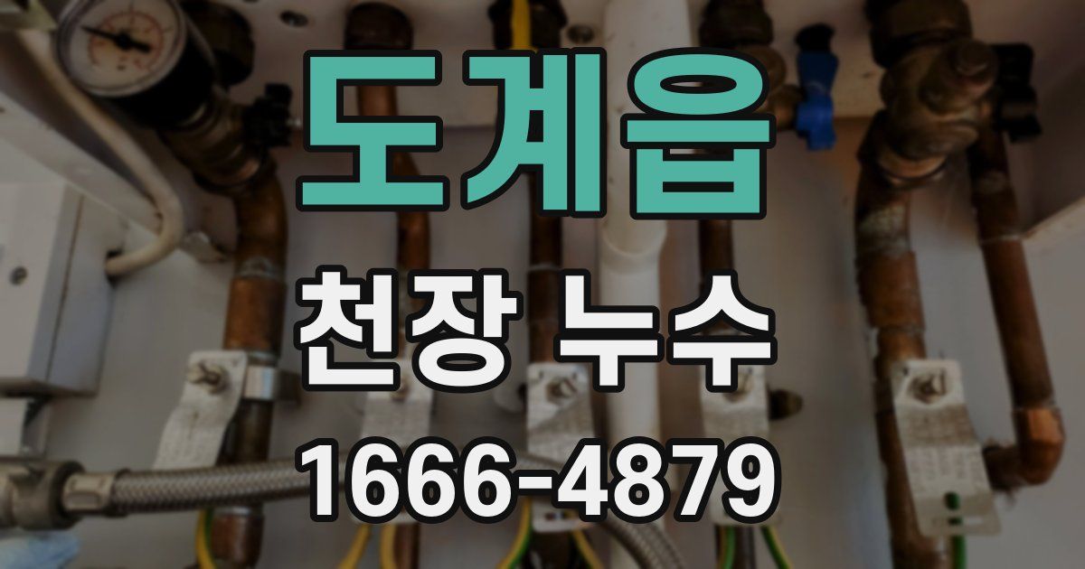 도계읍 천장 누수