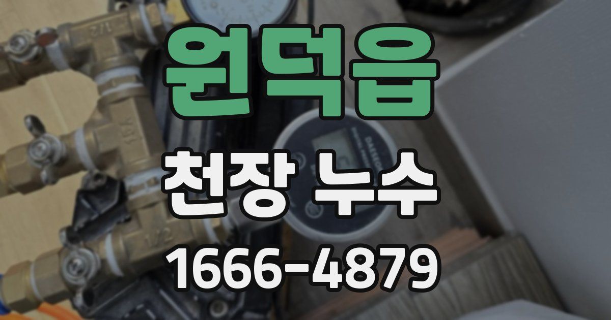 원덕읍 천장 누수