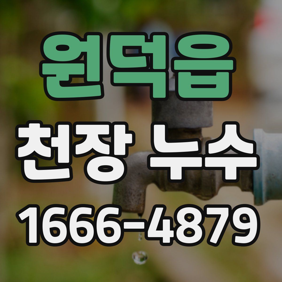 원덕읍 천장 누수