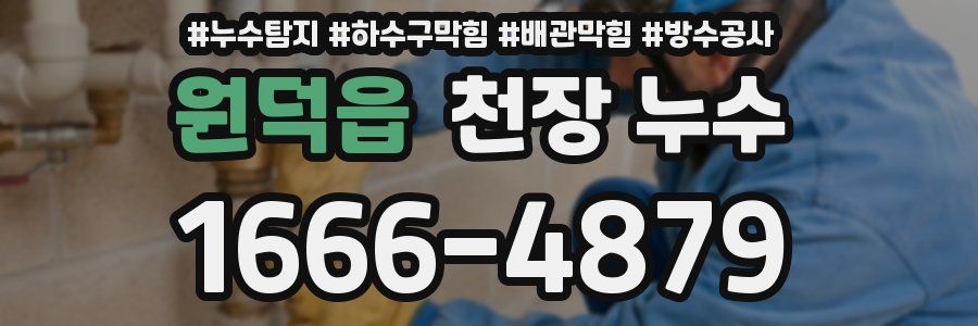 원덕읍 천장 누수