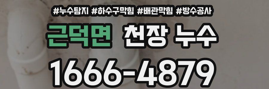 근덕면 천장 누수