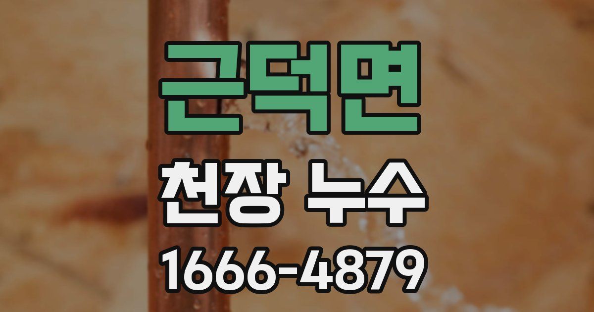 근덕면 천장 누수