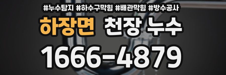 하장면 천장 누수