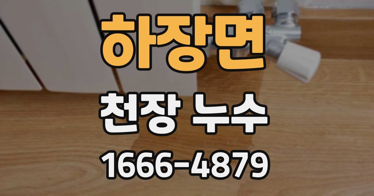 하장면 천장 누수