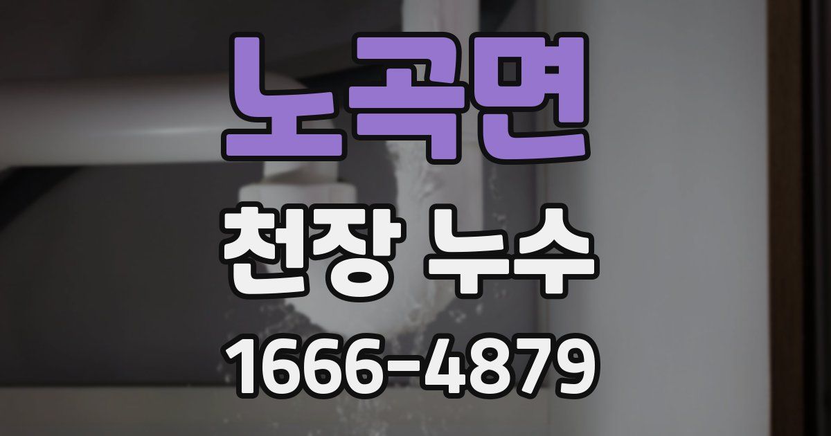 노곡면 천장 누수