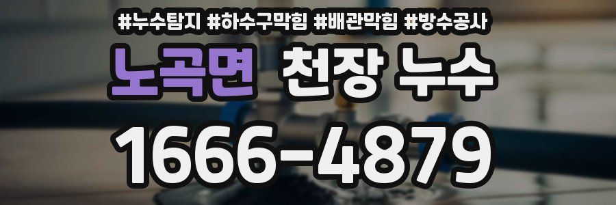 노곡면 천장 누수