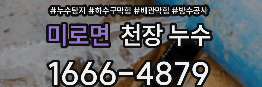 미로면 천장 누수