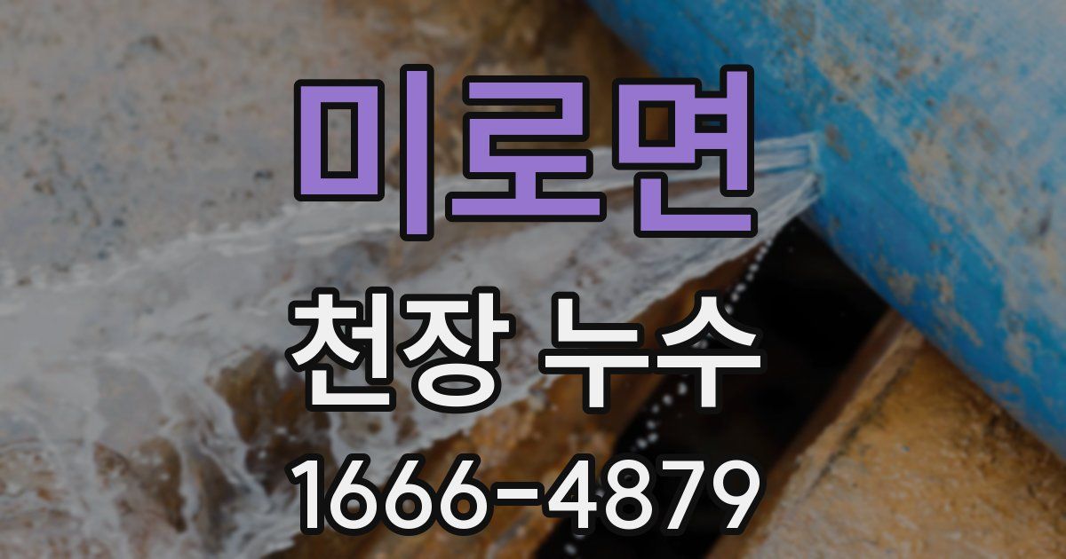 미로면 천장 누수