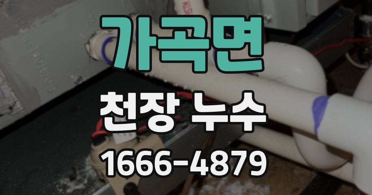 가곡면 천장 누수