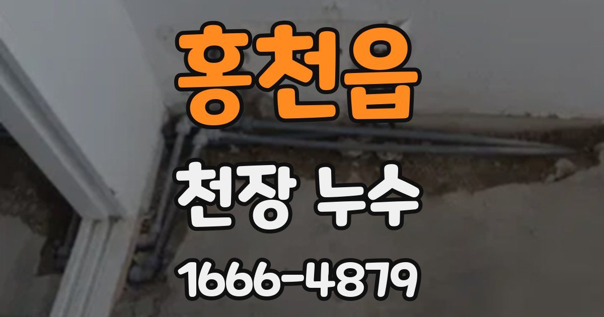 홍천읍 천장 누수