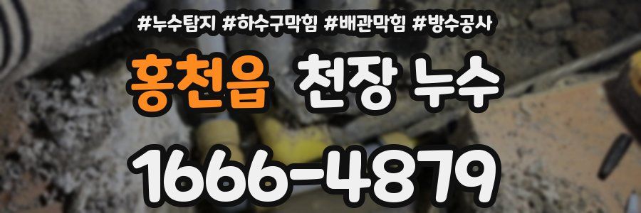 홍천읍 천장 누수