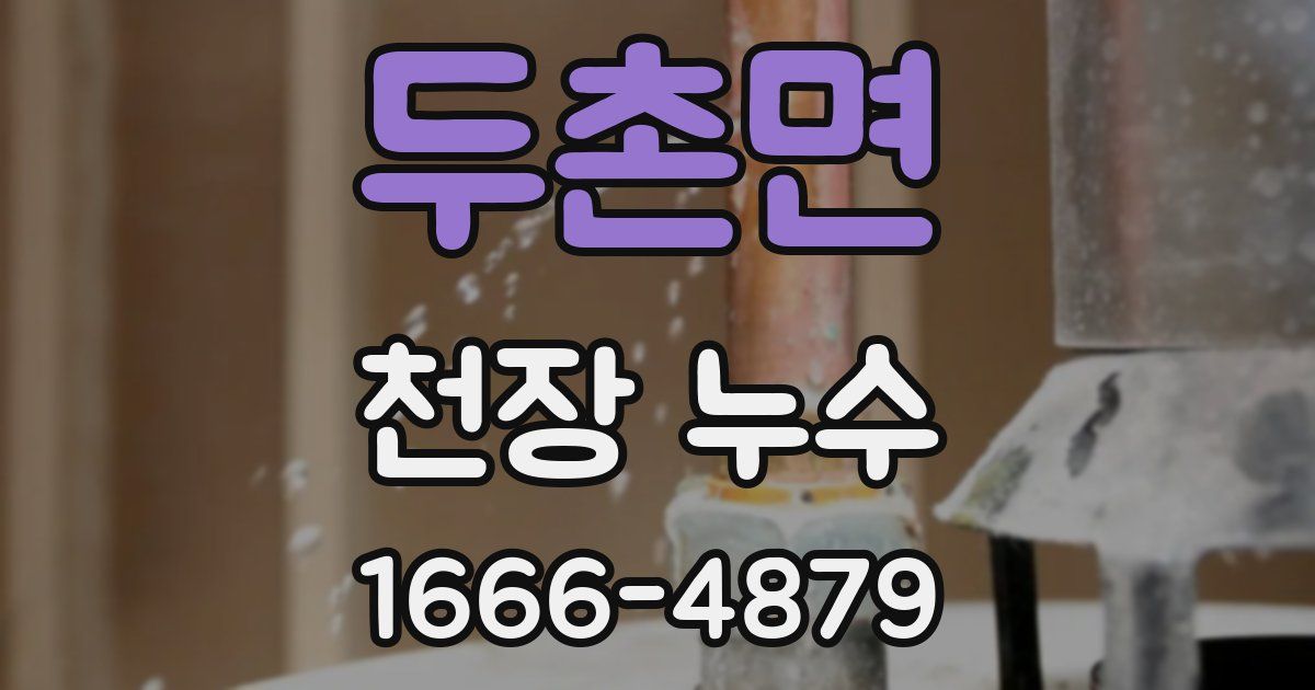 두촌면 천장 누수