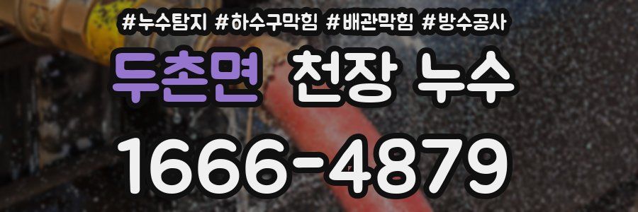 두촌면 천장 누수