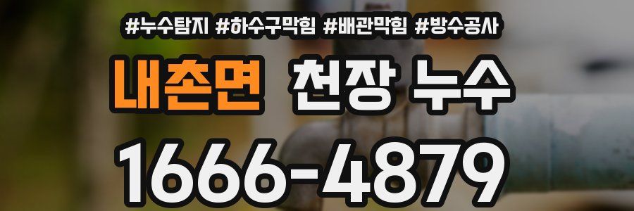 내촌면 천장 누수