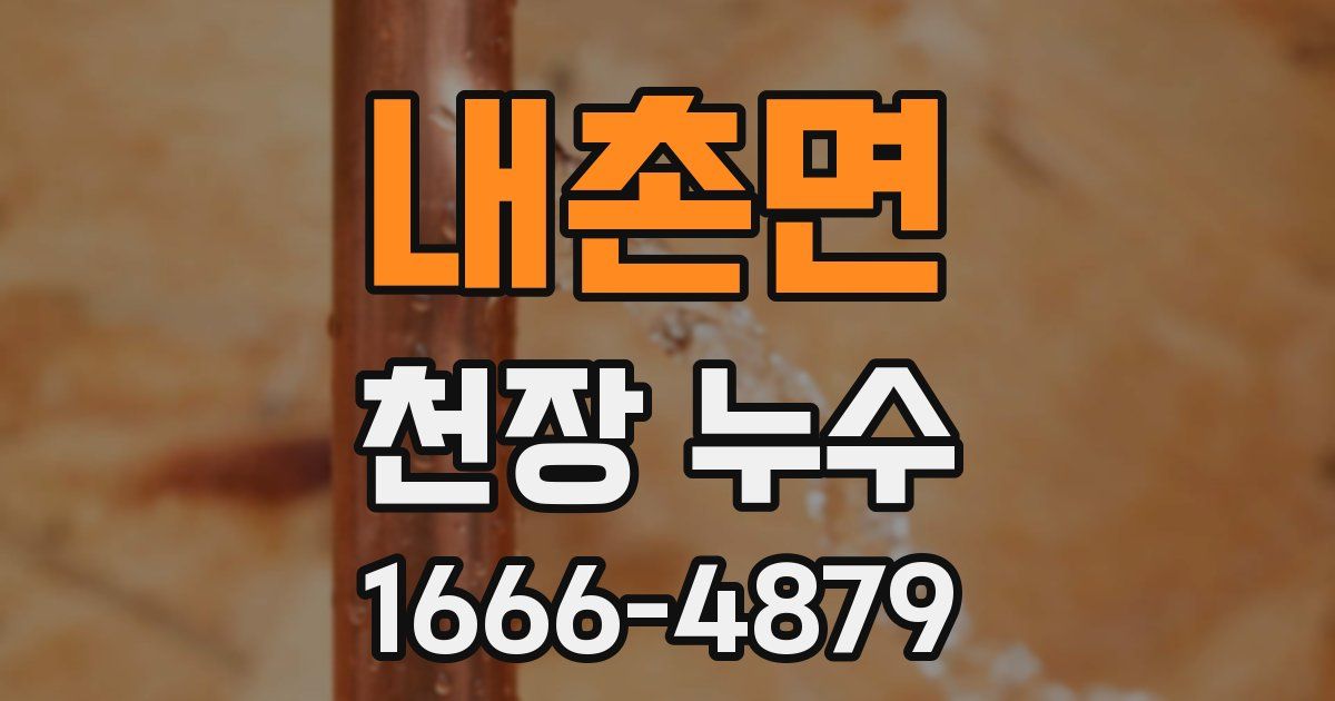 내촌면 천장 누수