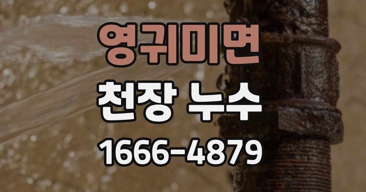 영귀미면 천장 누수