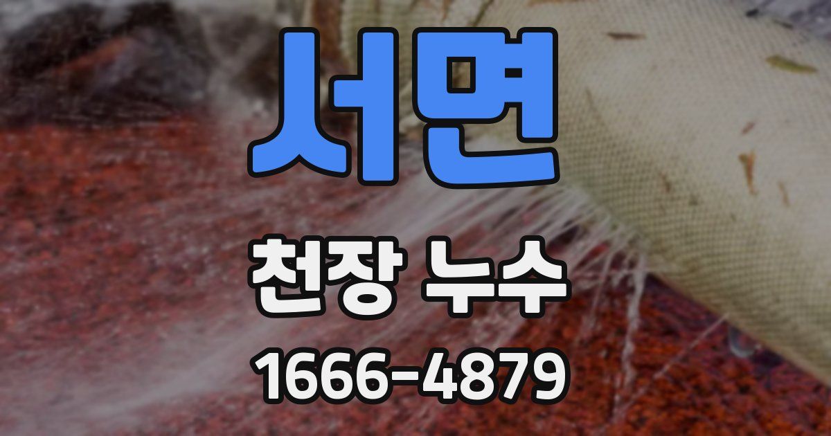 서면 천장 누수